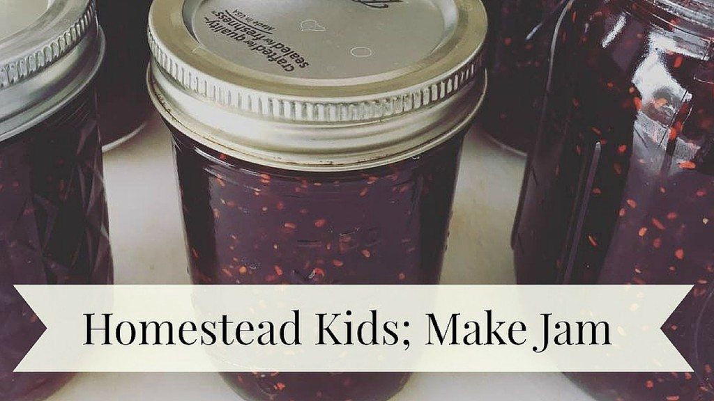 Homestead Kids Make Spiced Strawberry Raspberry Jam - Free Printable Recipe and How to Can Video 
