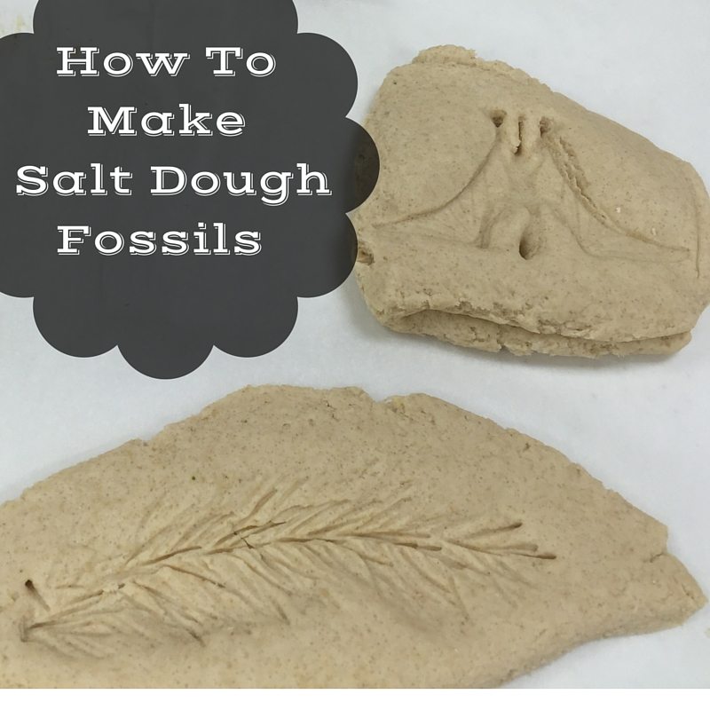 How To Make Salt Dough Fossils