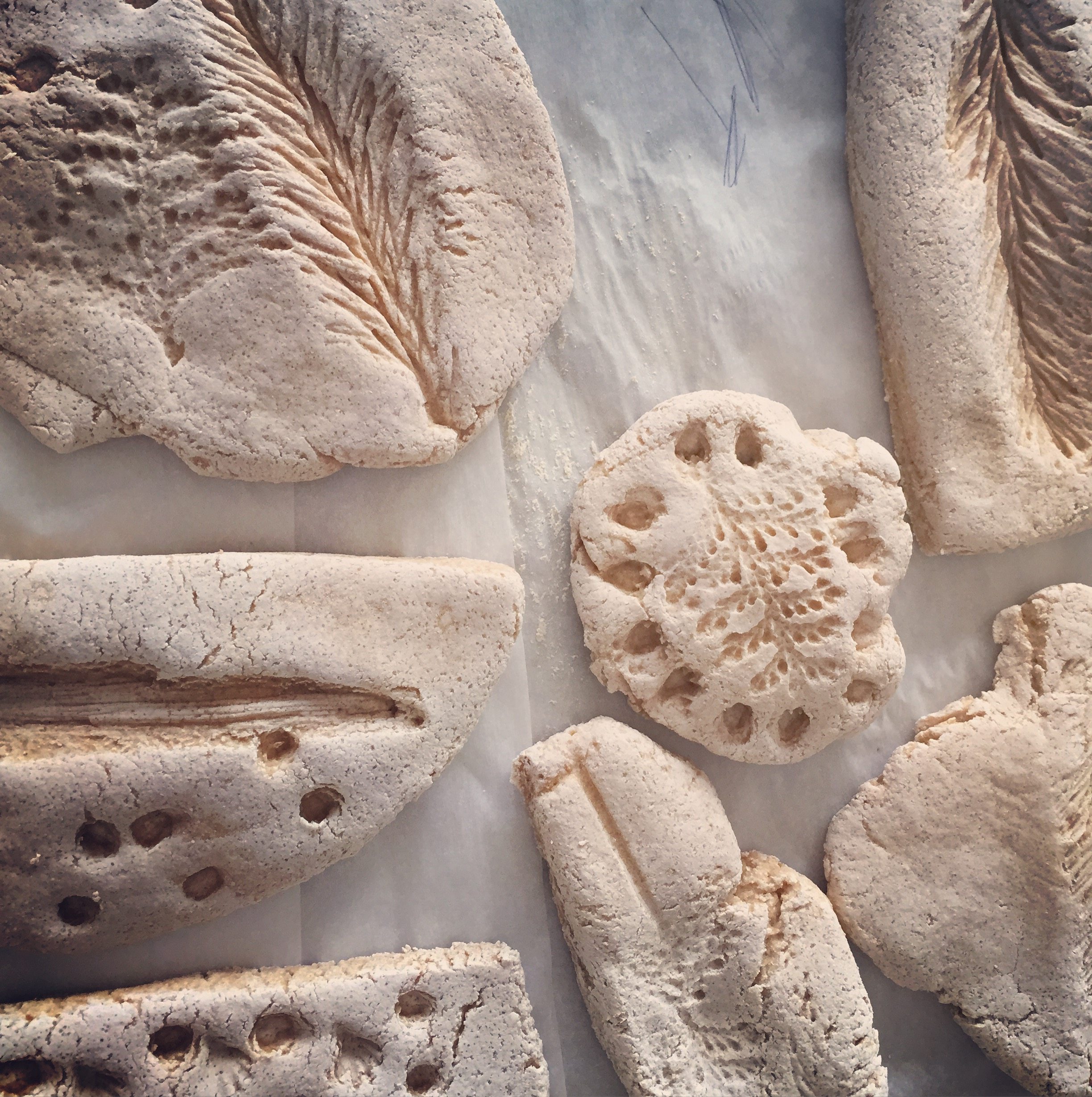 How to Make Salt Dough Fossils